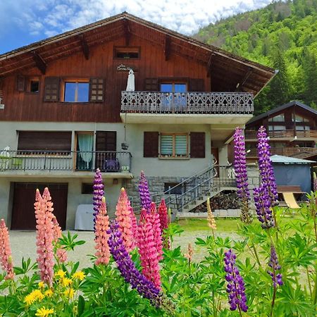 Appartement Meuble Classe 3 Etoiles De 72 M2, 2 Chambres Morzine Εξωτερικό φωτογραφία