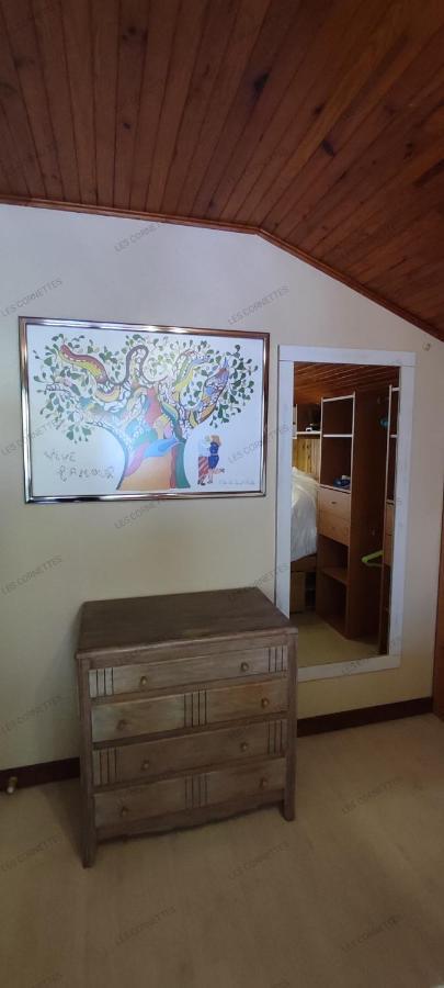 Appartement Meuble Classe 3 Etoiles De 72 M2, 2 Chambres Morzine Εξωτερικό φωτογραφία
