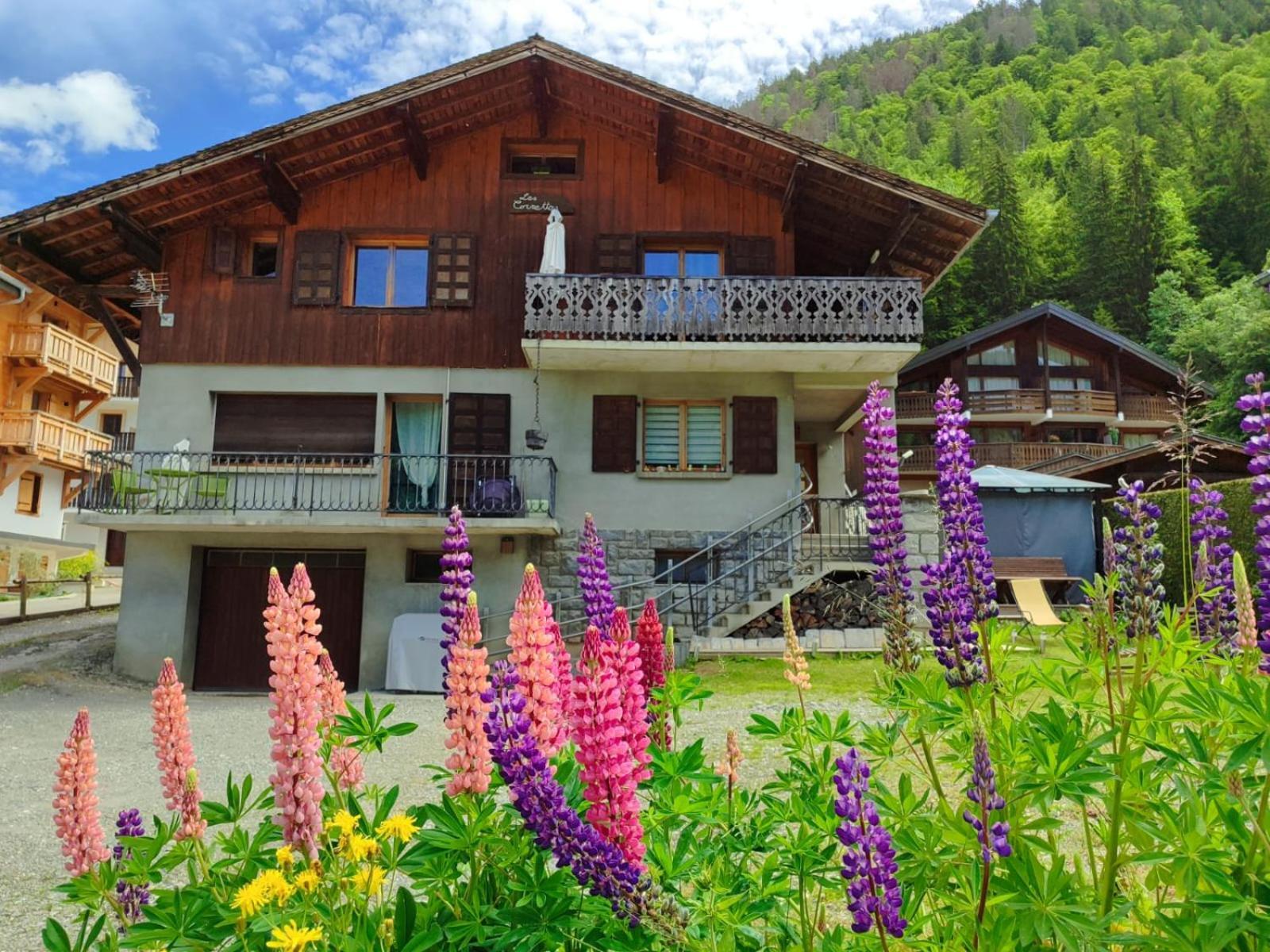 Appartement Meuble Classe 3 Etoiles De 72 M2, 2 Chambres Morzine Εξωτερικό φωτογραφία