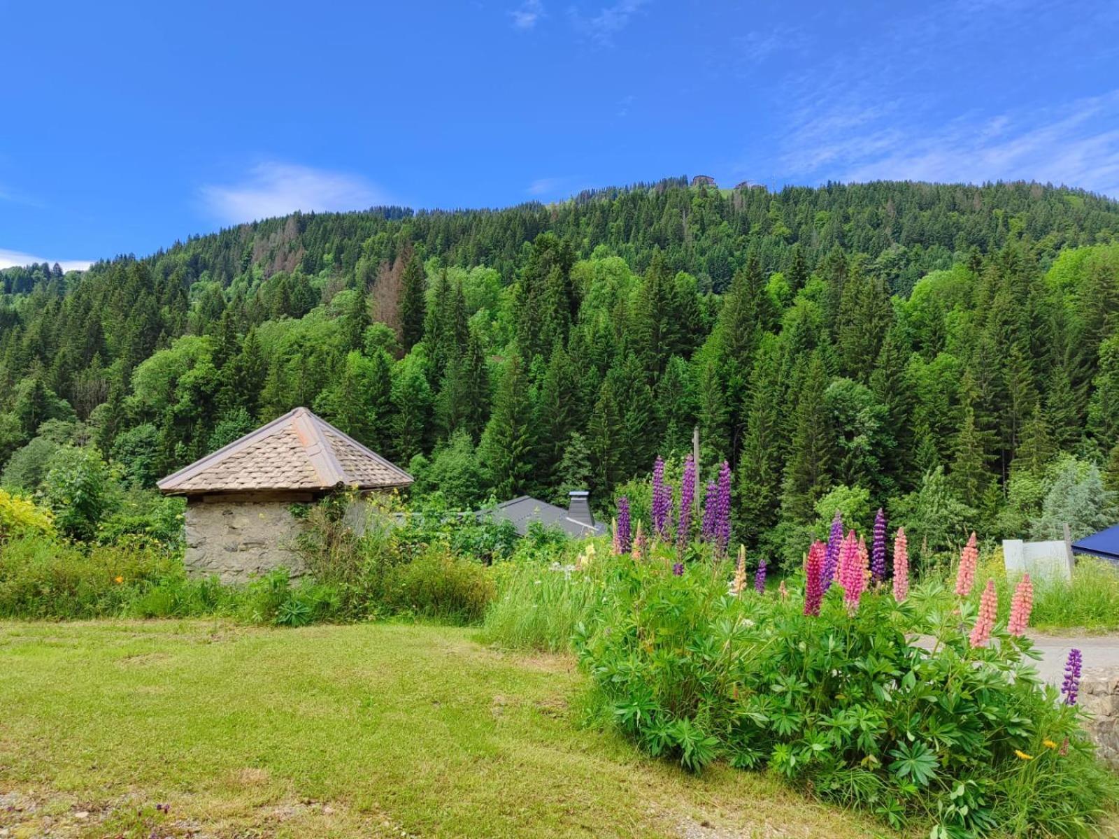 Appartement Meuble Classe 3 Etoiles De 72 M2, 2 Chambres Morzine Εξωτερικό φωτογραφία